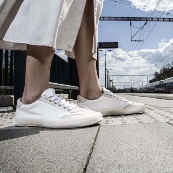 Felix - White-Tan Off