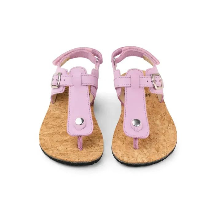 Abriana Nappa - Lavandel