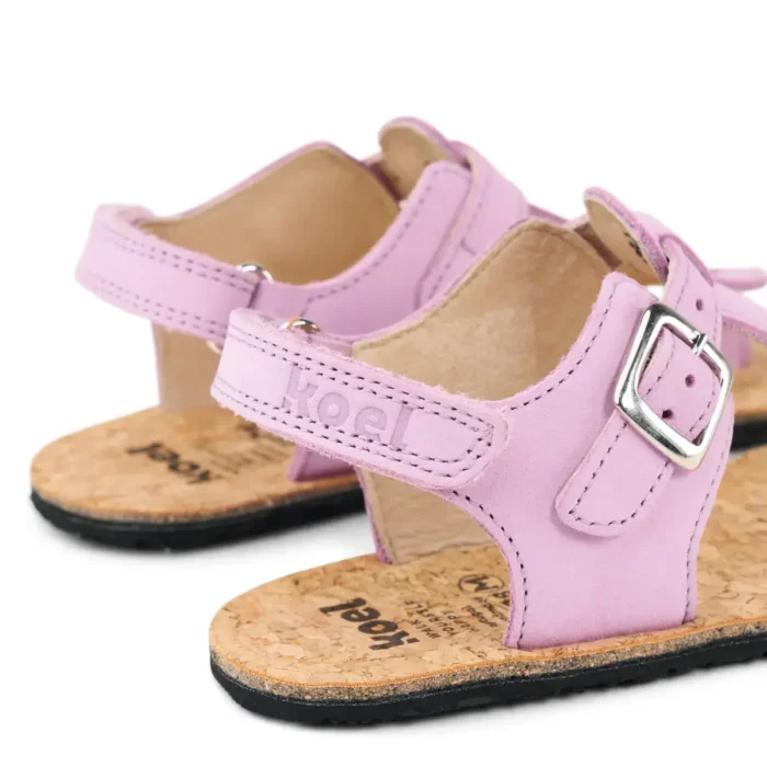 Abriana Nappa - Lavandel